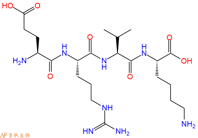 专肽生物产品H2N-Glu-Arg-Val-Lys-OH