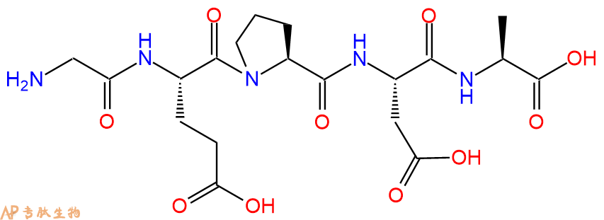 专肽生物产品H2N-Gly-Glu-Pro-Asp-Ala-OH