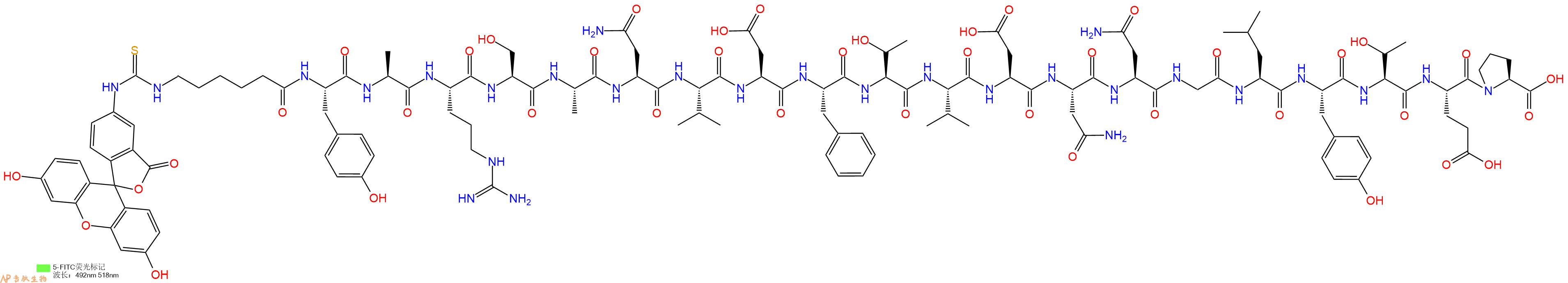 专肽生物产品5FITC-Ahx-Tyr-Ala-Arg-Ser-Ala-Asn-Val-Asp-Phe-Thr-Val-Asp-Asn-Asn-Gly-Leu-Tyr-Thr-Glu-Pro-OH