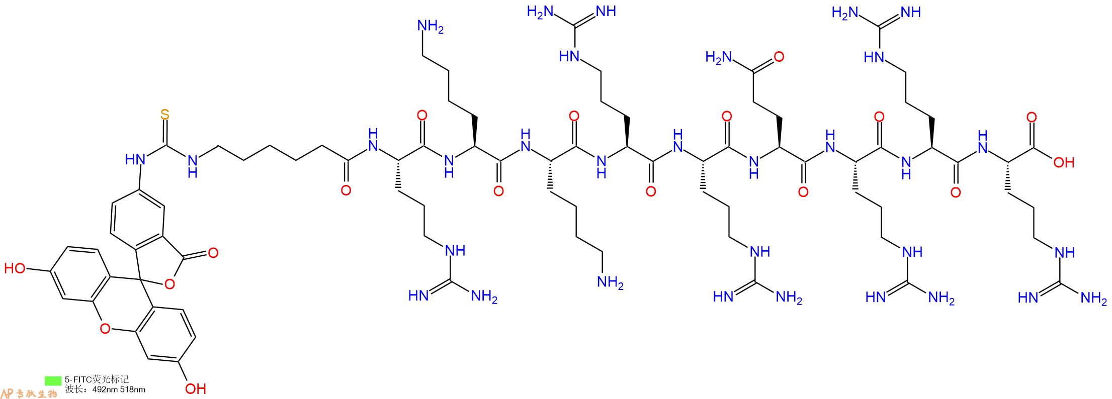 专肽生物产品5FITC-Ahx-Arg-Lys-Lys-Arg-Arg-Gln-Arg-Arg-Arg-OH