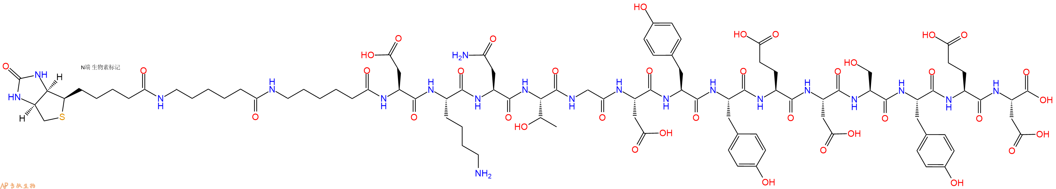 专肽生物产品Biotinyl-Ahx-Ahx-Asp-Lys-Asn-Thr-Gly-Asp-Tyr-Tyr-Glu-Asp-Ser-Tyr-Glu-Asp-OH