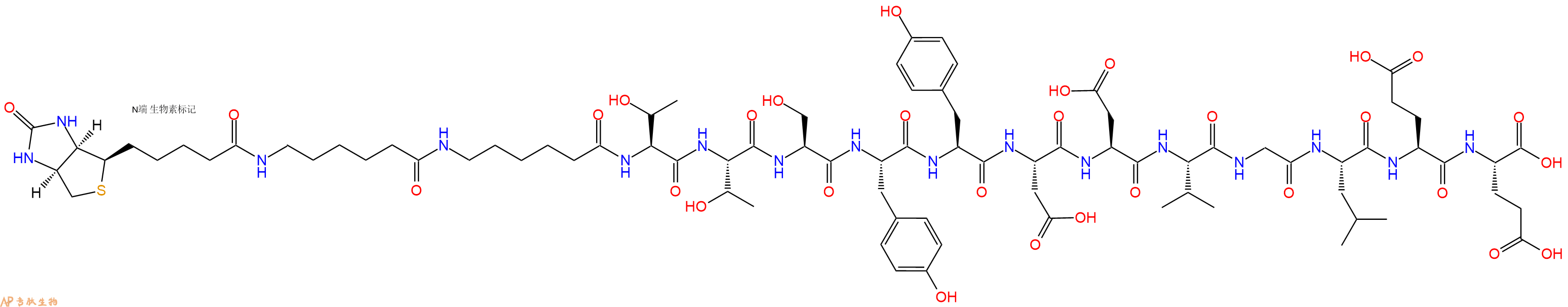 专肽生物产品Biotinyl-Ahx-Ahx-Thr-Thr-Ser-Tyr-Tyr-Asp-Asp-Val-Gly-Leu-Glu-Glu-OH