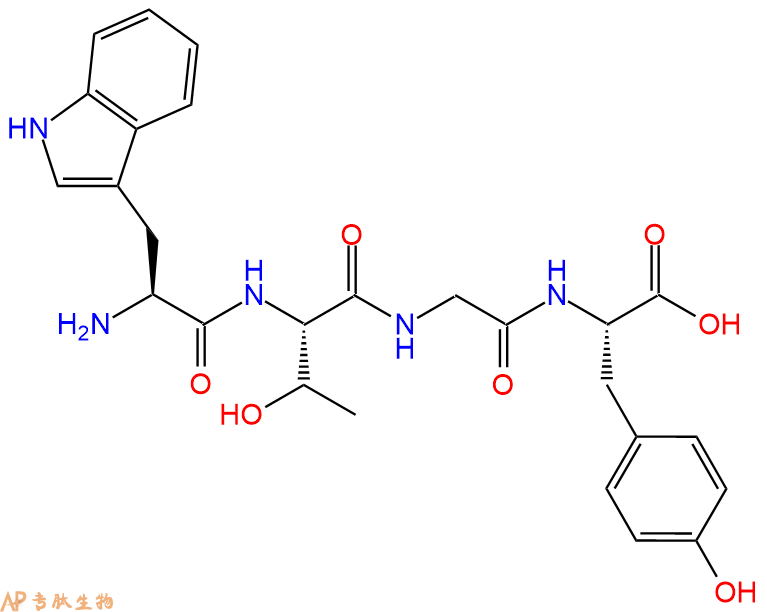 专肽生物产品H2N-Trp-Thr-Gly-Tyr-OH