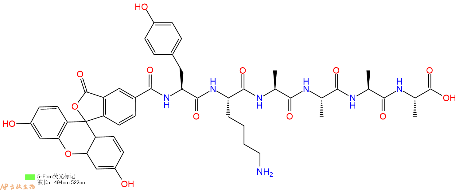 专肽生物产品5FAM-Tyr-Lys-Ala-Ala-Ala-Ala-OH