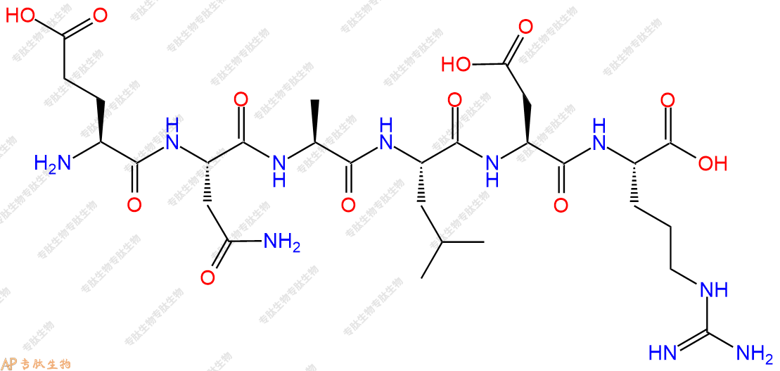 专肽生物产品H2N-Glu-Asn-Ala-Leu-Asp-Arg-OH