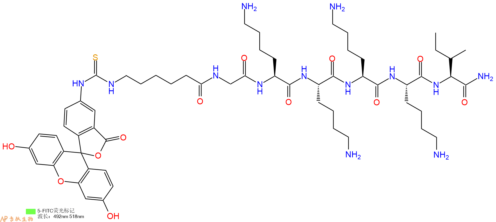 专肽生物产品5FITC-Ahx-Gly-Lys-Lys-Lys-Lys-Ile-NH2