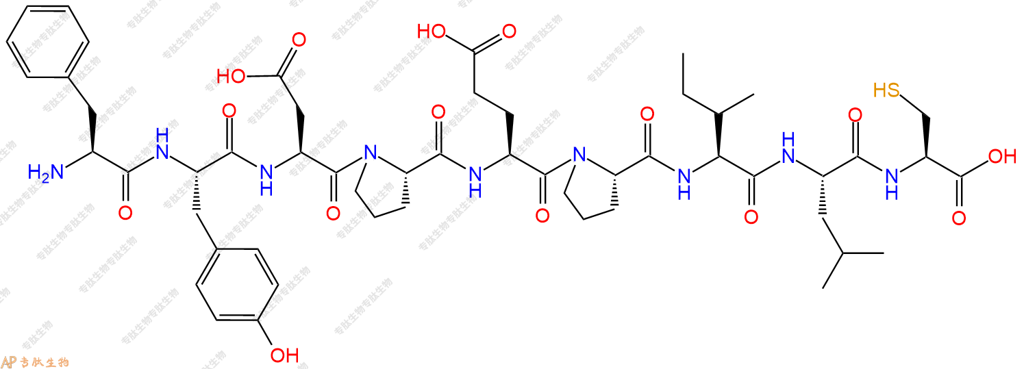 专肽生物产品H2N-Phe-Tyr-Asp-Pro-Glu-Pro-Ile-Leu-Cys-OH