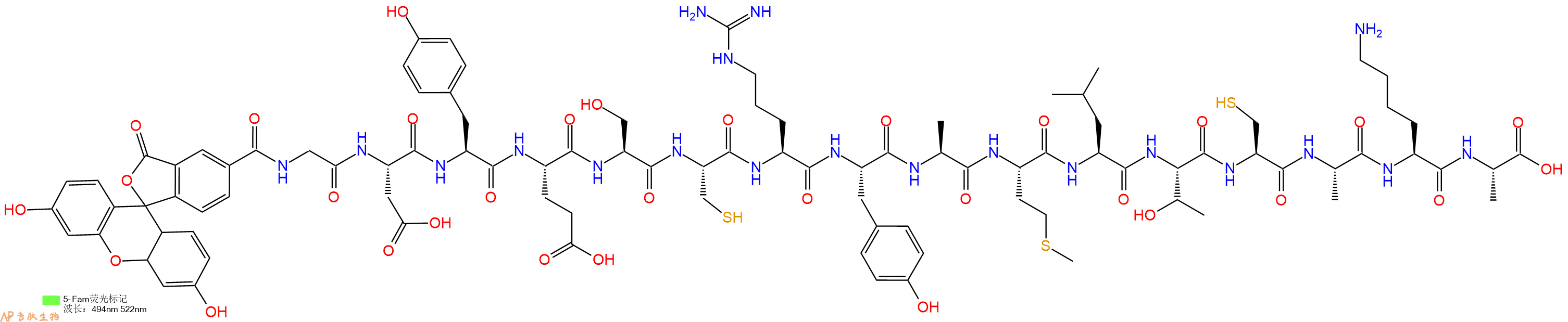 专肽生物产品5FAM-Gly-Asp-Tyr-Glu-Ser-Cys-Arg-Tyr-Ala-Met-Leu-Thr-Cys-Ala-Lys-Ala-OH