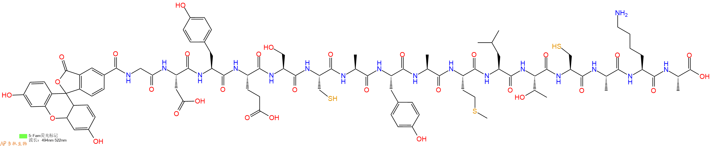 专肽生物产品5FAM-Gly-Asp-Tyr-Glu-Ser-Cys-Ala-Tyr-Ala-Met-Leu-Thr-Cys-Ala-Lys-Ala-OH