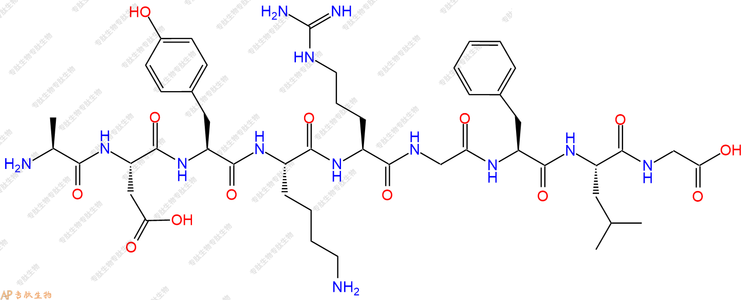 专肽生物产品H2N-Ala-Asp-Tyr-Lys-Arg-Gly-Phe-Leu-Gly-OH