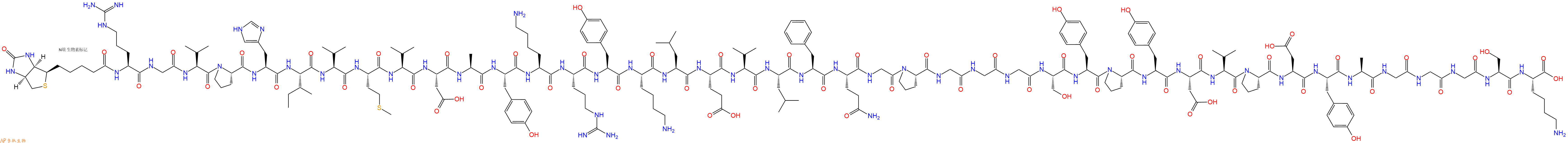 专肽生物产品Biotinyl-Arg-Gly-Val-Pro-His-Ile-Val-Met-Val-Asp-Ala-Tyr-Lys-Arg-Tyr-Lys-Leu-Glu-Val-Leu-Phe-Gln-Gly-Pro-Gly-Gly-Gly-Ser-Tyr-Pro-Tyr-Asp-Val-Pro-Asp-Tyr-Ala-Gly-Gly-Gly-Ser-Lys-OH