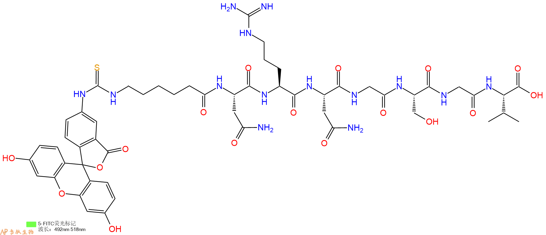 专肽生物产品5FITC-Ahx-Asn-Arg-Asn-Gly-Ser-Gly-Val-OH