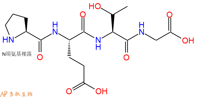 专肽生物产品H2N-Pro-Glu-Thr-Gly-OH