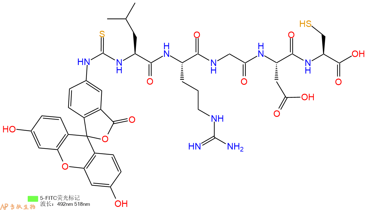 专肽生物产品5FITC-Leu-Arg-Gly-Asp-Cys-OH