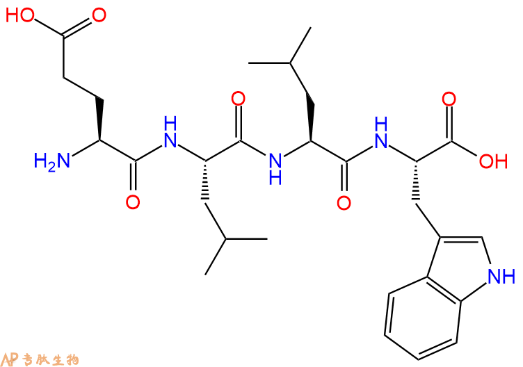 专肽生物产品H2N-Glu-Leu-Leu-Trp-OH
