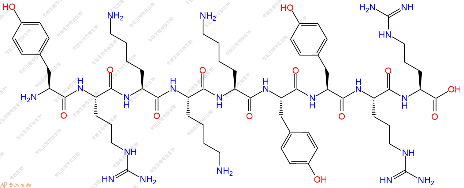 专肽生物产品H2N-Tyr-Arg-Lys-Lys-Lys-Tyr-Tyr-Arg-Arg-OH