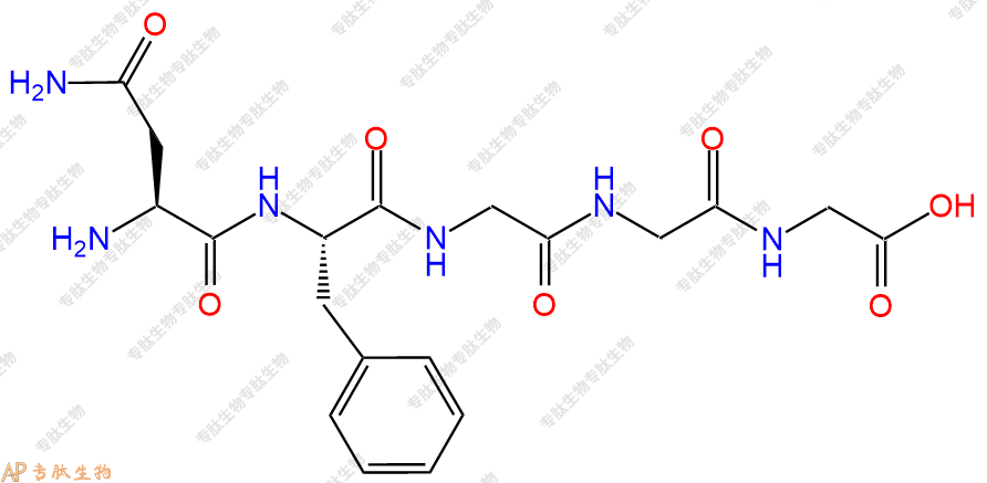 专肽生物产品H2N-Asn-Phe-Gly-Gly-Gly-OH