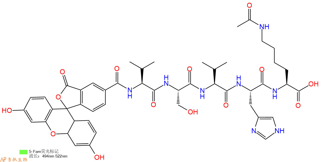 专肽生物产品5FAM-Val-Ser-Val-His-Lys(Ac)-OH