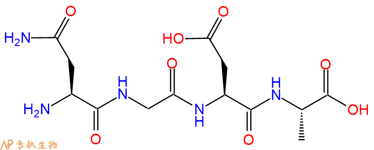 专肽生物产品H2N-Asn-Gly-Asp-Ala-OH