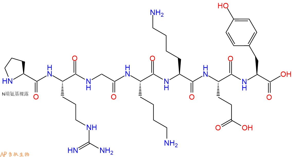 专肽生物产品H2N-Pro-Arg-Gly-Lys-Lys-Glu-Tyr-OH