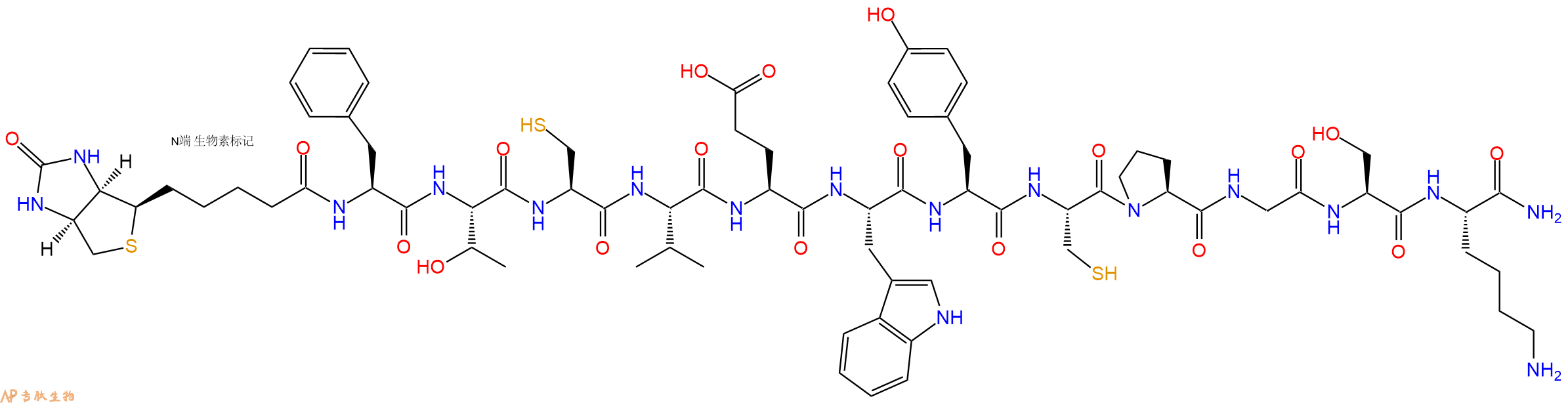 专肽生物产品Biotinyl-Phe-Thr-Cys-Val-Glu-Trp-Tyr-Cys-Pro-Gly-Ser-Lys-CONH2