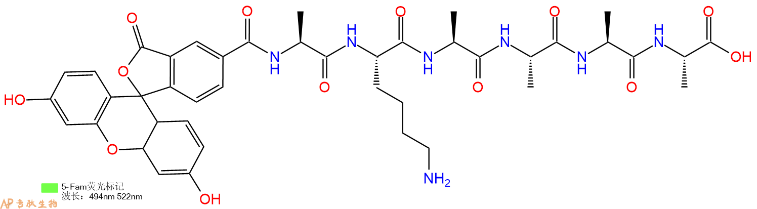 专肽生物产品5FAM-Ala-Lys-Ala-Ala-Ala-Ala-OH