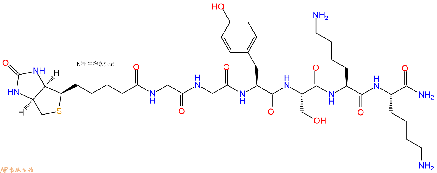 专肽生物产品Biotinyl-Gly-Gly-Tyr-Ser-Lys-Lys-CONH2