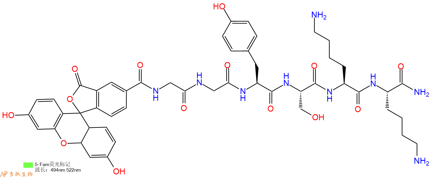 专肽生物产品5FAM-Gly-Gly-Tyr-Ser-Lys-Lys-CONH2