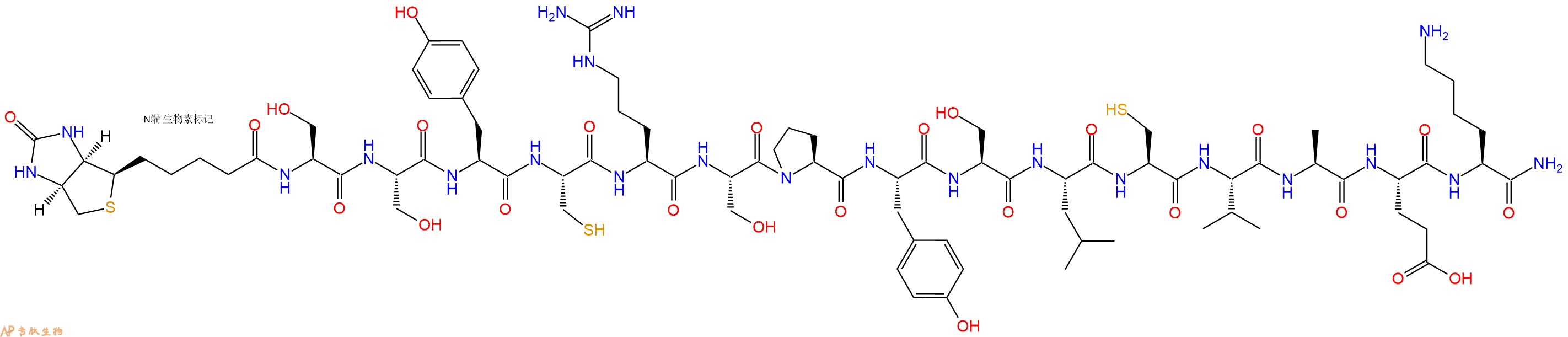 专肽生物产品Biotinyl-Ser-Ser-Tyr-Cys-Arg-Ser-Pro-Tyr-Ser-Leu-Cys-Val-Ala-Glu-Lys-CONH2