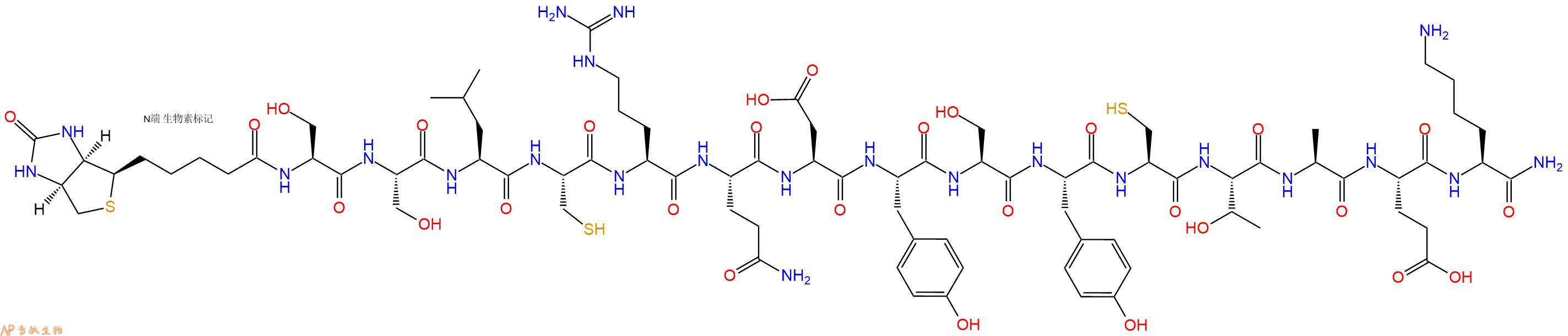 专肽生物产品Biotinyl-Ser-Ser-Leu-Cys-Arg-Gln-Asp-Tyr-Ser-Tyr-Cys-Thr-Ala-Glu-Lys-CONH2