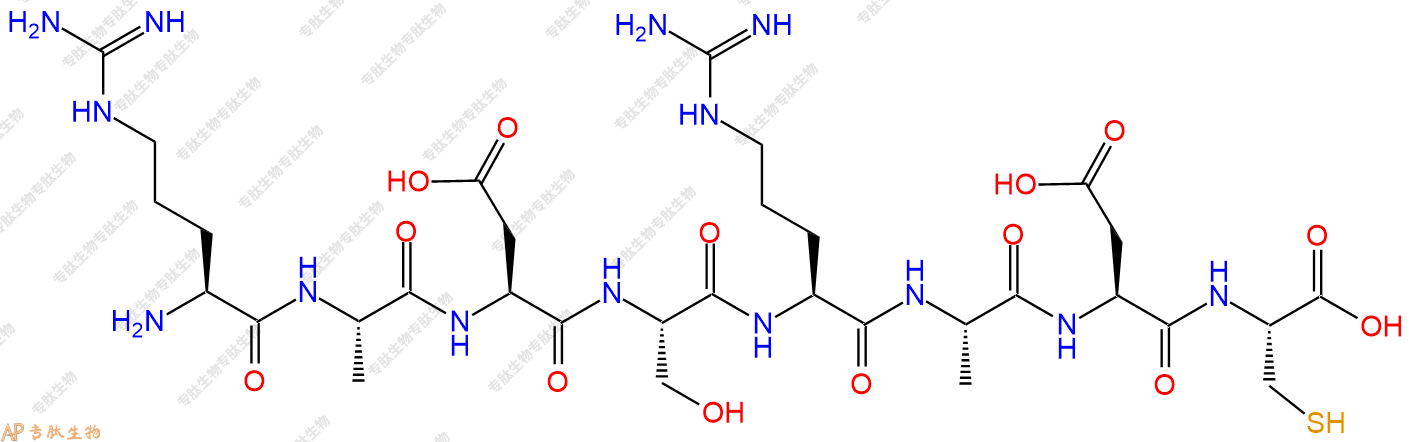 专肽生物产品H2N-Arg-Ala-Asp-Ser-Arg-Ala-Asp-Cys-OH
