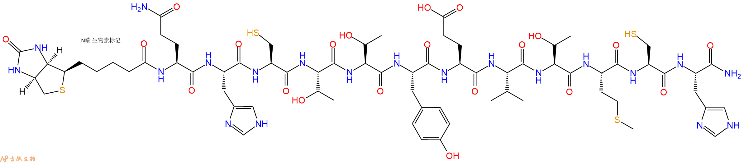 专肽生物产品Biotinyl-Gln-His-Cys-Thr-Thr-Tyr-Glu-Val-Thr-Met-Cys-His-CONH2