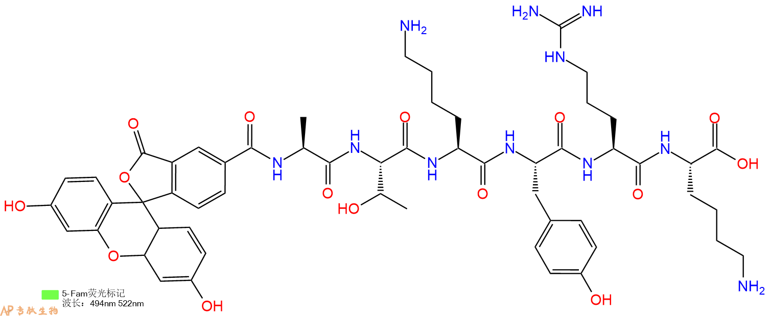 专肽生物产品5FAM-Ala-Thr-Lys-Tyr-Arg-Lys-OH