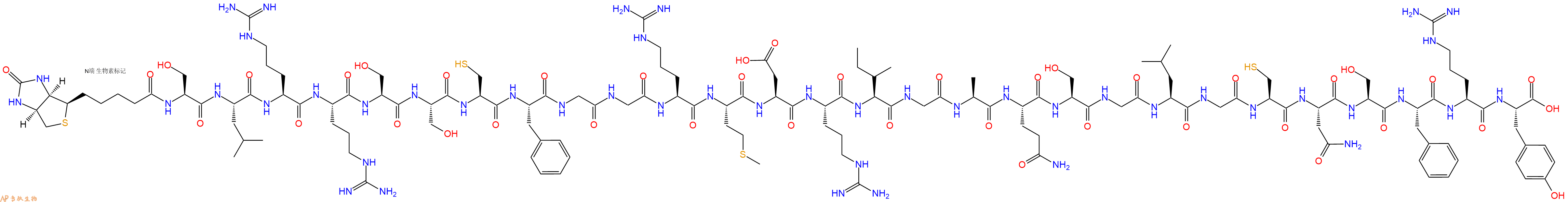 专肽生物产品Biotinyl-Ser-Leu-Arg-Arg-Ser-Ser-Cys-Phe-Gly-Gly-Arg-Met-Asp-Arg-Ile-Gly-Ala-Gln-Ser-Gly-Leu-Gly-Cys-Asn-Ser-Phe-Arg-Tyr-OH
