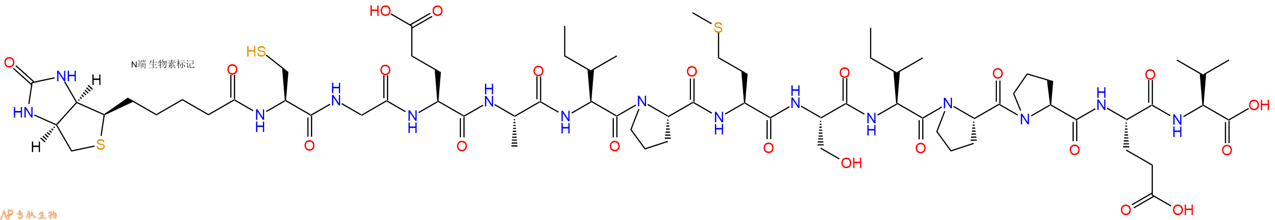专肽生物产品Biotinyl-Cys-Gly-Glu-Ala-Ile-Pro-Met-Ser-Ile-Pro-Pro-Glu-Val-OH