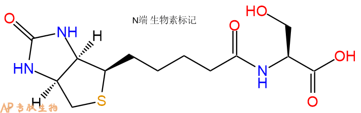 专肽生物产品Biotinyl-Ser-OH