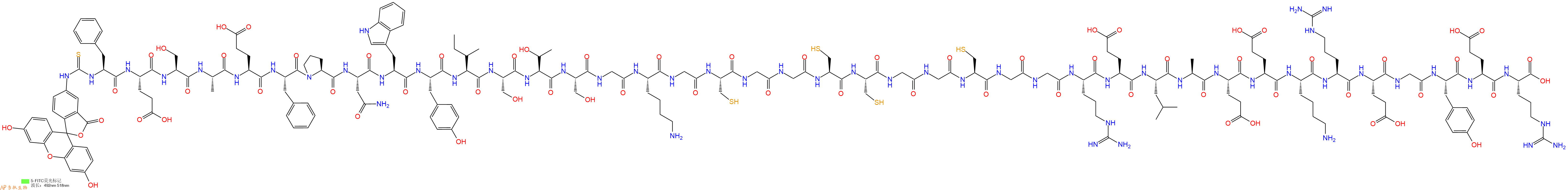 专肽生物产品5FITC-Phe-Glu-Ser-Ala-Glu-Phe-Pro-Asn-Trp-Tyr-Ile-Ser-Thr-Ser-Gly-Lys-Gly-Cys-Gly-Gly-Cys-Cys-Gly-Gly-Cys-Gly-Gly-Arg-Glu-Leu-Ala-Glu-Glu-Lys-Arg-Glu-Gly-Tyr-Glu-Arg-OH