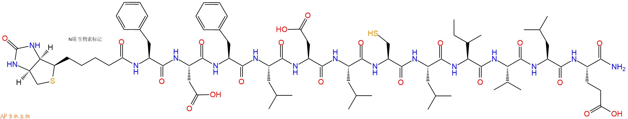 专肽生物产品Biotinyl-Phe-Asp-Phe-Leu-Asp-Leu-Cys-Leu-Ile-Val-Leu-Glu-CONH2