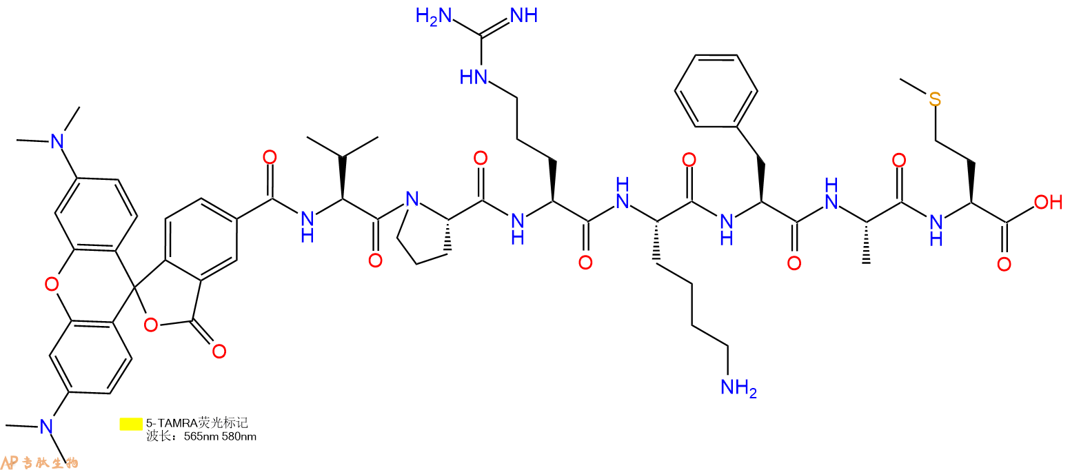 专肽生物产品5TAMRA-Val-Pro-Arg-Lys-Phe-Ala-Met-OH