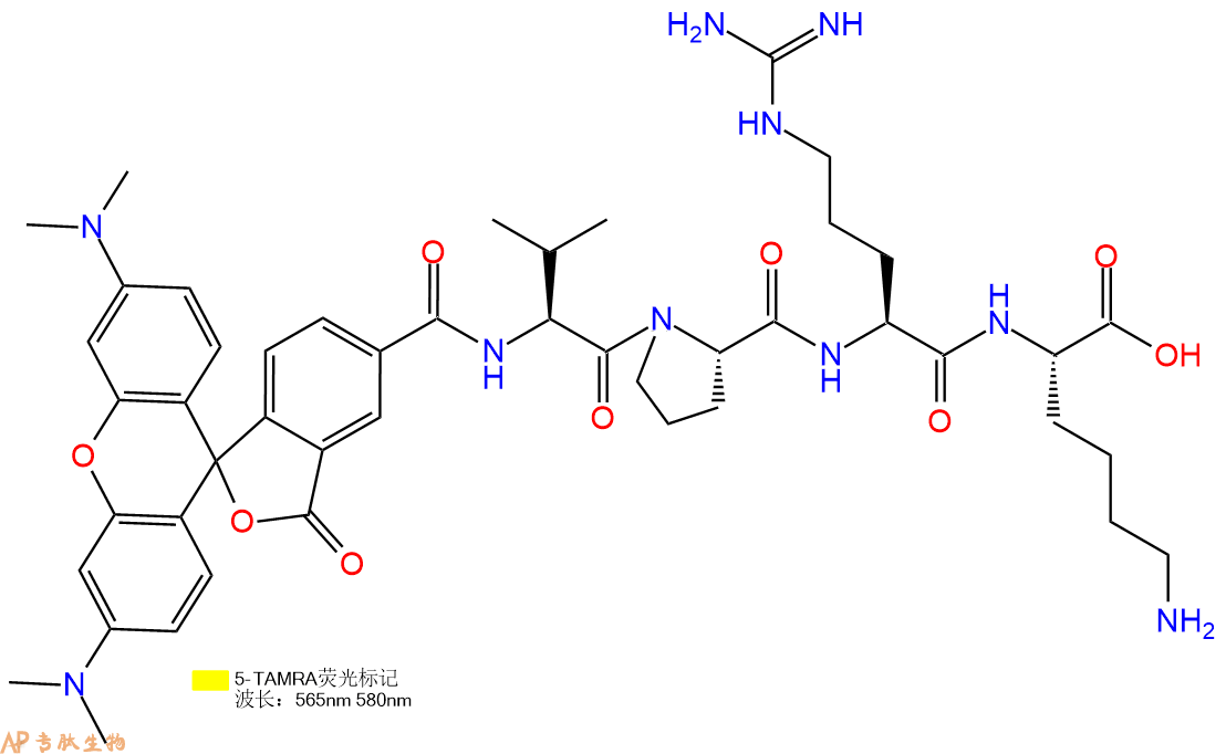 专肽生物产品5TAMRA-Val-Pro-Arg-Lys-OH