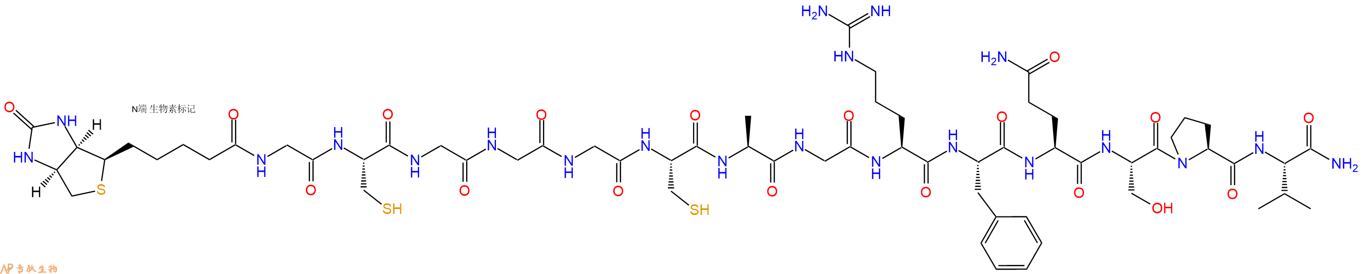 专肽生物产品Biotinyl-Gly-Cys-Gly-Gly-Gly-Cys-Ala-Gly-Arg-Phe-Gln-Ser-Pro-Val-CONH2