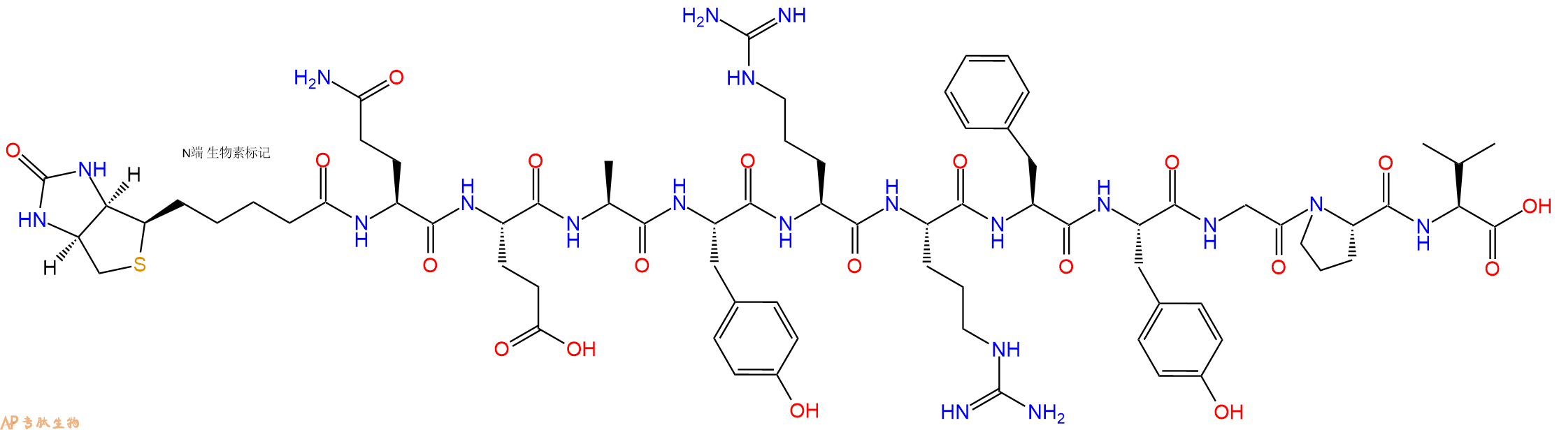 专肽生物产品Biotinyl-Gln-Glu-Ala-Tyr-Arg-Arg-Phe-Tyr-Gly-Pro-Val-OH