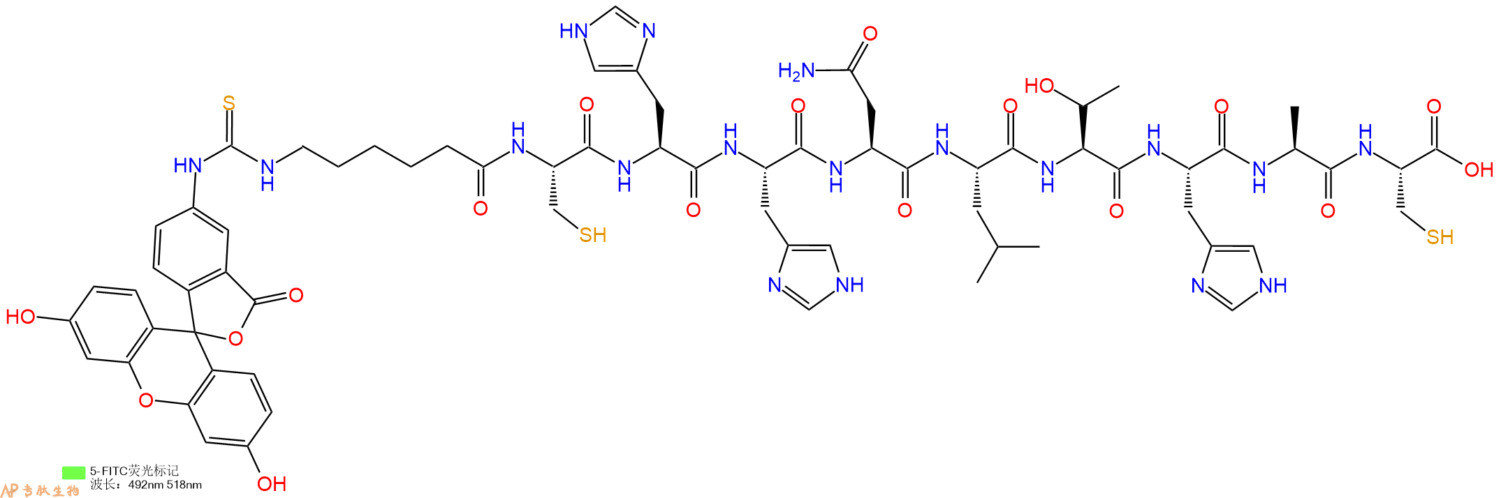 专肽生物产品5FITC-Ahx-Cys-His-His-Asn-Leu-Thr-His-Ala-Cys-OH
