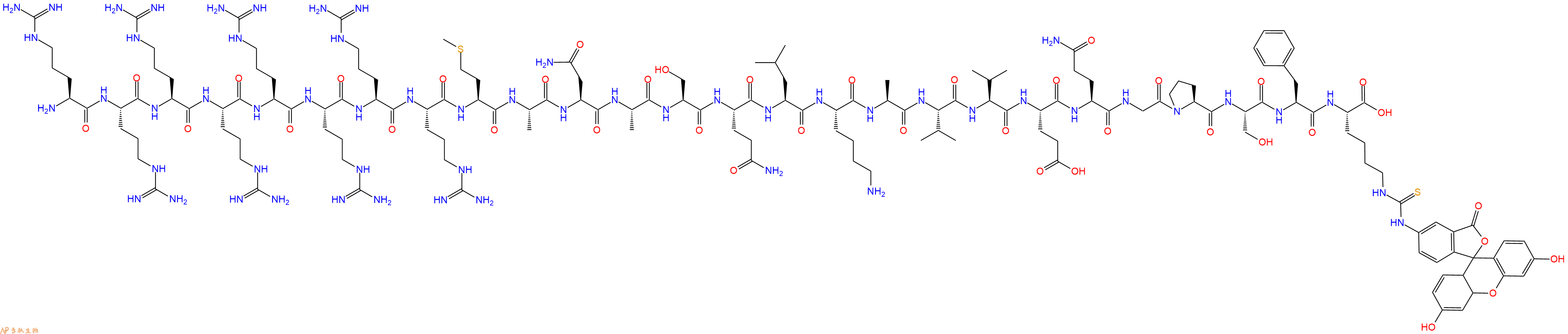 专肽生物产品H2N-Arg-Arg-Arg-Arg-Arg-Arg-Arg-Arg-Met-Ala-Asn-Ala-Ser-Gln-Leu-Lys-Ala-Val-Val-Glu-Gln-Gly-Pro-Ser-Phe-Lys(FITC)-OH