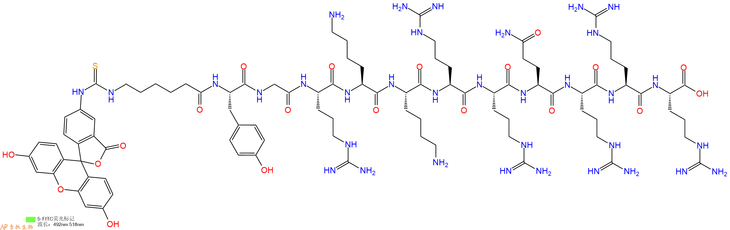 专肽生物产品5FITC-Ahx-Tyr-Gly-Arg-Lys-Lys-Arg-Arg-Gln-Arg-Arg-Arg-OH