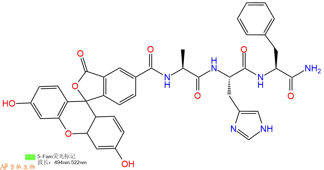 专肽生物产品5FAM-Ala-His-Phe-CONH2