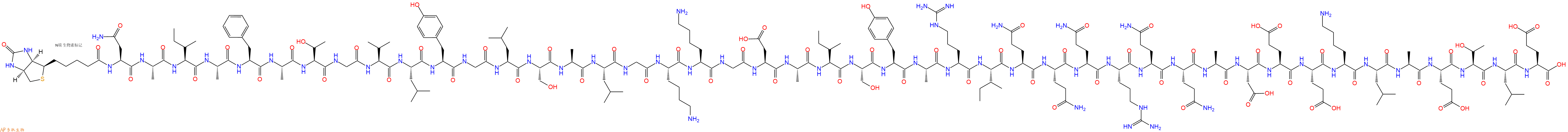 专肽生物产品Biotinyl-Asn-Ala-Ile-Ala-Phe-Ala-Thr-Gly-Val-Leu-Tyr-Gly-Leu-Ser-Ala-Leu-Gly-Lys-Lys-Gly-Asp-Ala-Ile-Ser-Tyr-Ala-Arg-Ile-Gln-Gln-Gln-Arg-Gln-Gln-Ala-Asp-Glu-Glu-Lys-Leu-Ala-Glu-Thr-Leu-Glu-OH