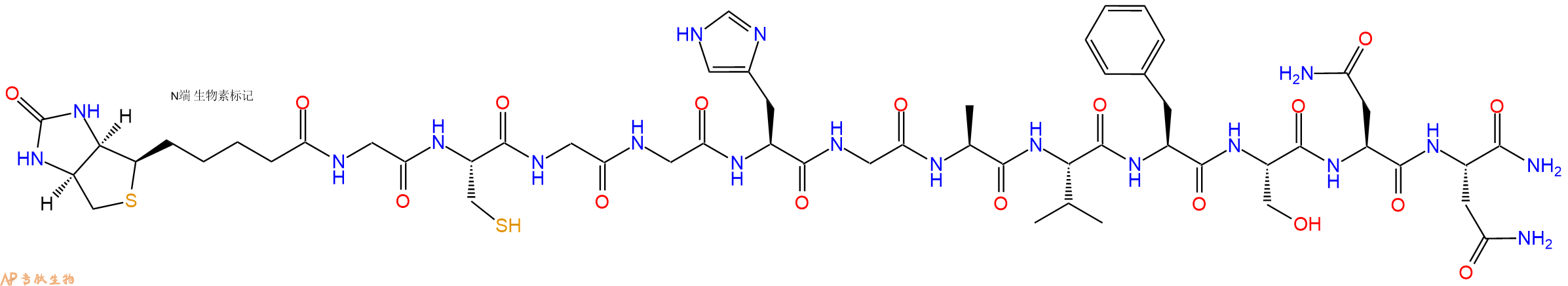 专肽生物产品Biotinyl-Gly-Cys-Gly-Gly-His-Gly-Ala-Val-Phe-Ser-Asn-Asn-CONH2