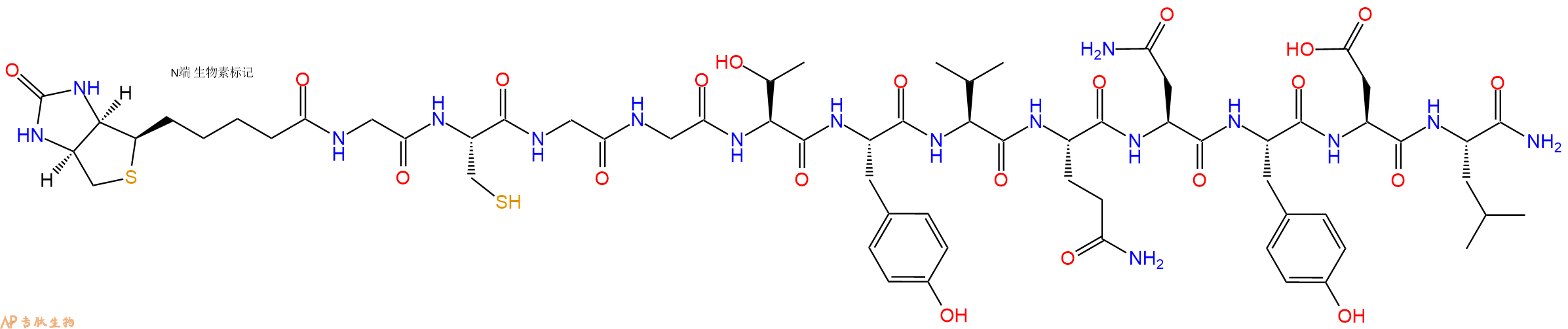 专肽生物产品Biotinyl-Gly-Cys-Gly-Gly-Thr-Tyr-Val-Gln-Asn-Tyr-Asp-Leu-CONH2