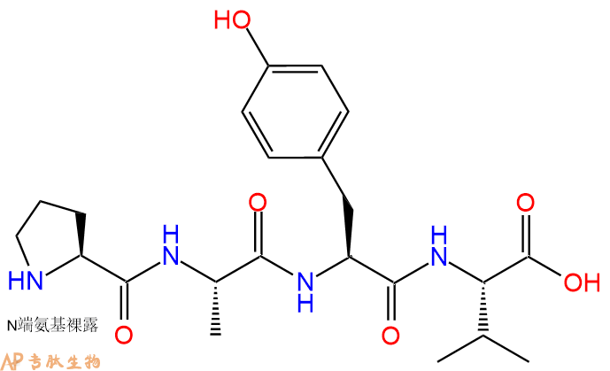 专肽生物产品H2N-Pro-Ala-Tyr-Val-OH